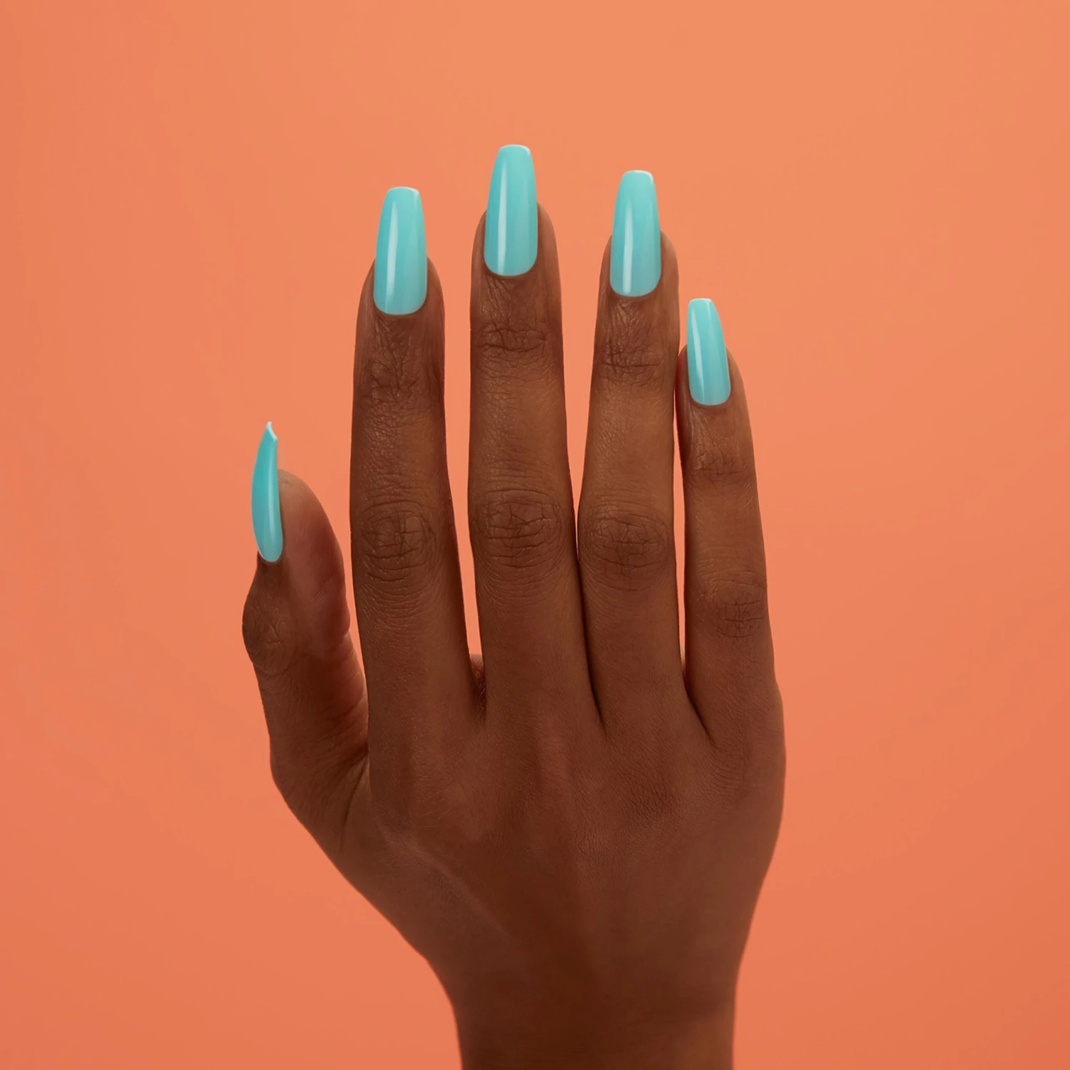 Turquoise & Caicos 4 Turquoise & Caicos - Image 2