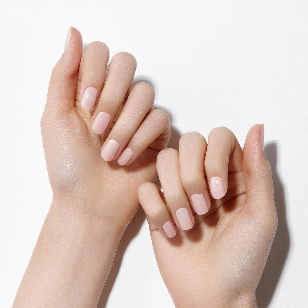 Pale Blush 4 Pale Blush - Image 2